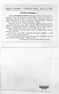 Image Associated With the Occurence